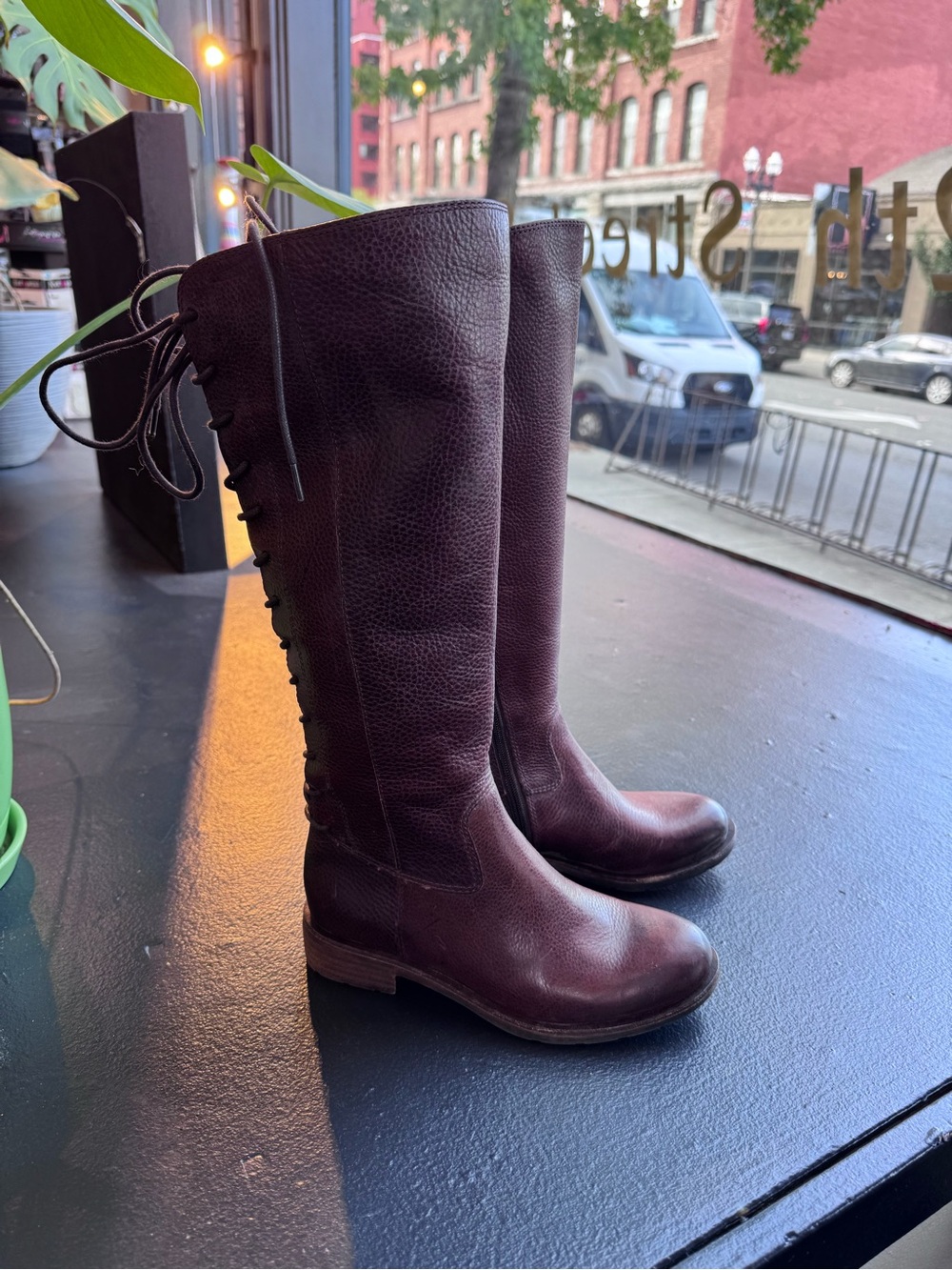 Sofft Tall Lace-Back Riding Boots in Dark Brown